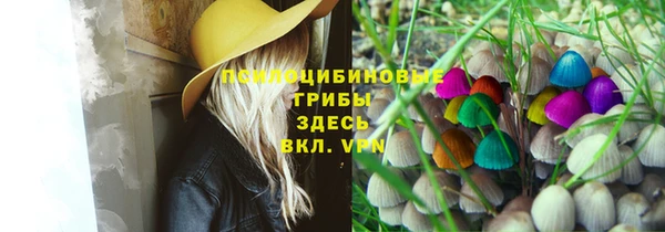 a pvp Надым