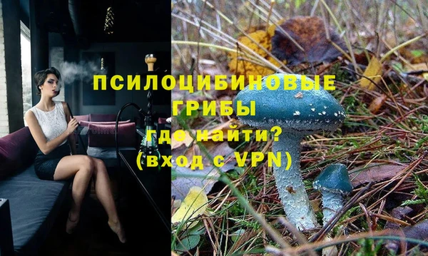 a pvp Надым