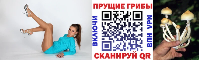 Псилоцибиновые грибы Magic Shrooms  Одинцово 